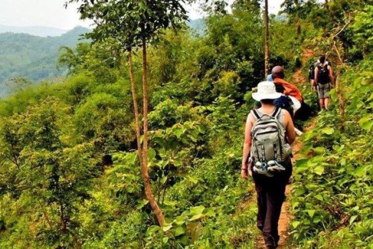 Laos Luang Prabang Bikes, Elephants, Kayaks, Homestay 2 Days